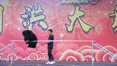 蒙阴刘洪欢乐谷：吴桥杂技周 国庆七天乐