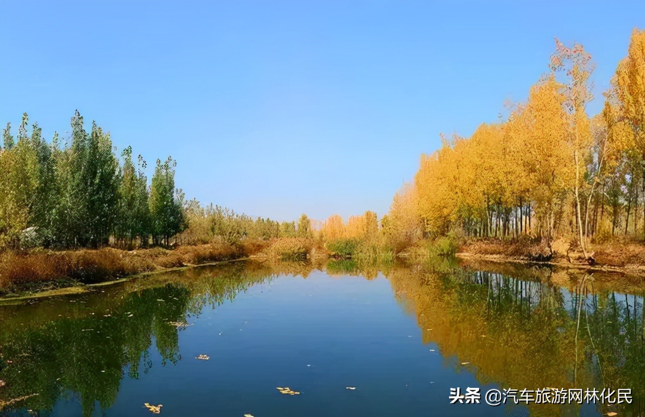 临沂深秋“色彩地图”来啦！带你欣赏“醉美”深秋